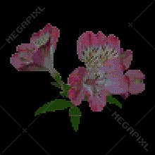 Cross stitch alstroemeria flower. Floral embroidery pattern. Peruvian lily, vector illustration.