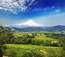 Mount hood and hood river valley