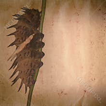 Butterfly caterpillar old grunge