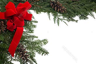 Christmas border with red bow and live pine boughs