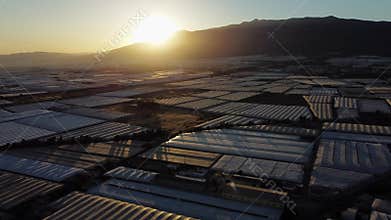 Aerial shot of many greenhouses with crops in Almeria, Andalusia, Spain. Sunset over plastic sea.