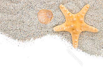 Beach with sand starfish and shell