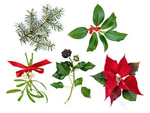 Christmas holiday decoration plants set isolated on white
