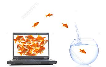 Digital to real