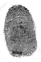 Fingerprint