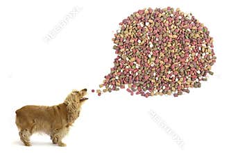 Dog food.