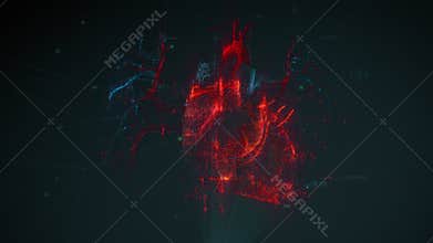 Digital model of the Human heart and major blood vessels