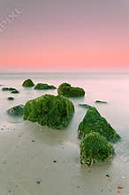 Pink sunrise over the ocean