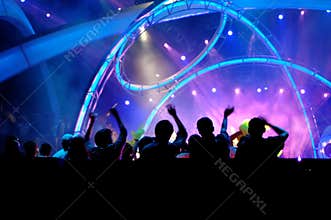Crowd in the concert