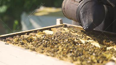 The beekeeper uses smoke to drive bees away from the surface of the frames in the hive for inspection. Honey, a beehive