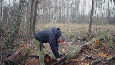 A man examines a fallen tree in a swampy area