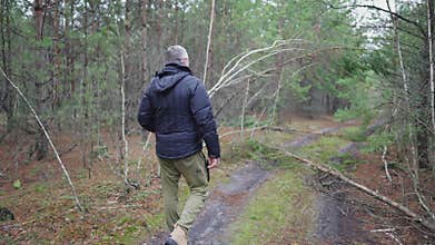 A man on a forest road examines fallen trees
