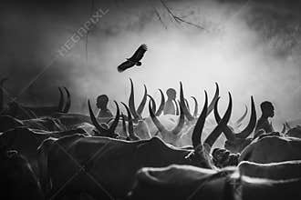 The shadows of Mundari,South Sudan