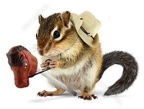 Funny chipmunk cowboy