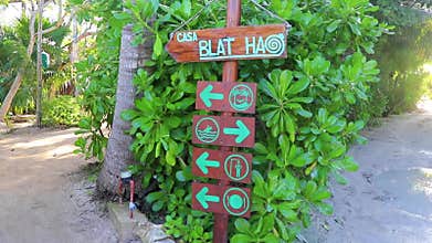 Tropical hotel resort with palm trees bamboo Holbox island Mexico