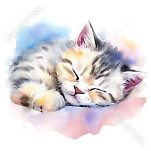 Watercolor_a_Sleeping_Kitten1