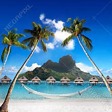 Palms with hammock and ocean. Bora-Bora. Polynesia