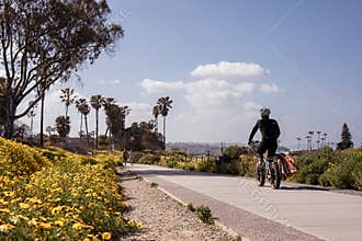 Spring bloom in Cardiff-by-the-sea, San Diego, California, April 19, 2023