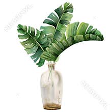 Tropical leaves of monstera, palm tree banana in transparent vase bottle watercolor illustration. Trendy summer clipart