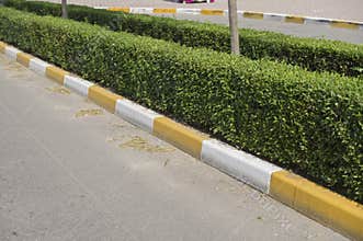 green spaces in landscaping, walkways, stone borders