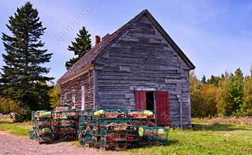 Lobster traps, New Brunswick