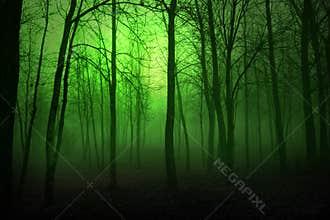 Green Woods