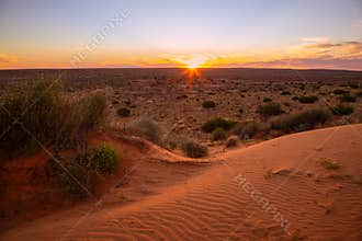 Sunset over a sand dune and arid vegetation