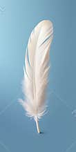 White light airy soft bird feather with transparent 1690444380018 2