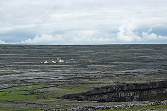 Aran Island