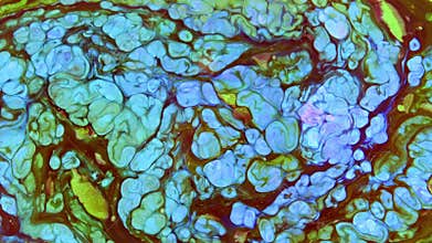 Abstract Colorful Paint Ink Explode Diffusion Psychedelic Blast Movement.