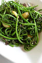 Exotic asia cuisine - jungle ferns stir fry dish