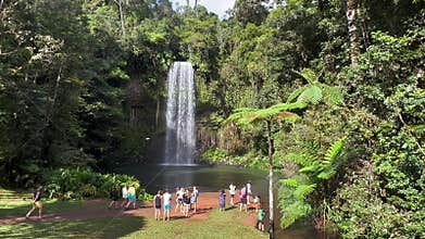 Aerial view of Millaa Millaa Falls Queensland Australia