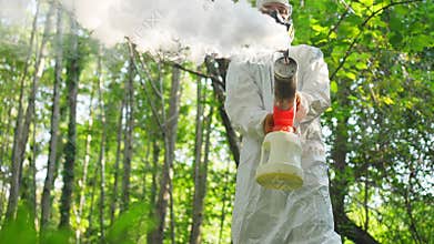 extermination of mosquitoes the use of fumigators and pesticides in the forest destroy the Zika virus and Dengue fever
