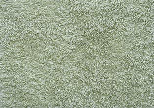 Retro Green Shag Carpet