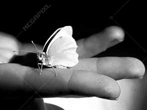 Man vs Nature: Compassion