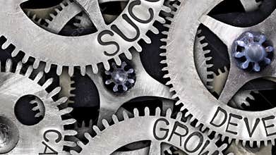 Tooth Wheels with Career, Success, Development and Growth Concept