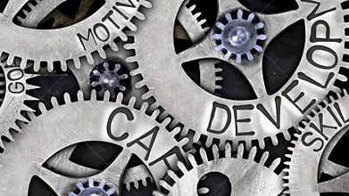 Tooth Wheels with Career Development Concept