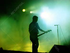 Guitarist On Stage