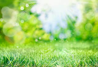 Soft spring background with bokeh