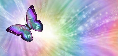 Beautiful Butterfly Soul Journey Concept Banner