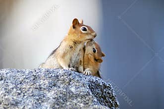 Mother and baby