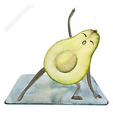 Hand drawn watercolor cute avocado character doing yoga stretching asana practice. Fitness health. Illustration isolated