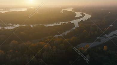 River autumn forest tree nature beautiful green summer aerial drone fly