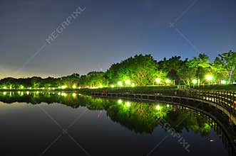 Bedok Reservoir with trees by night
