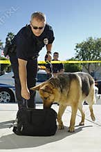 Police Dog Sniffing Bag