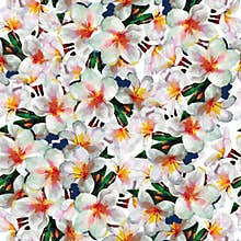 White exotic flowers seamless pattern background
