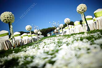 Outdoor wedding Scene