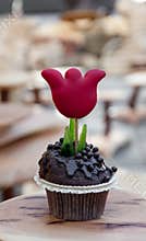 Festive cupcake