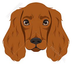 Setter head icon. Fluffy dog cartoon face