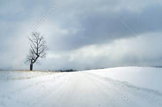 Snow covered road
